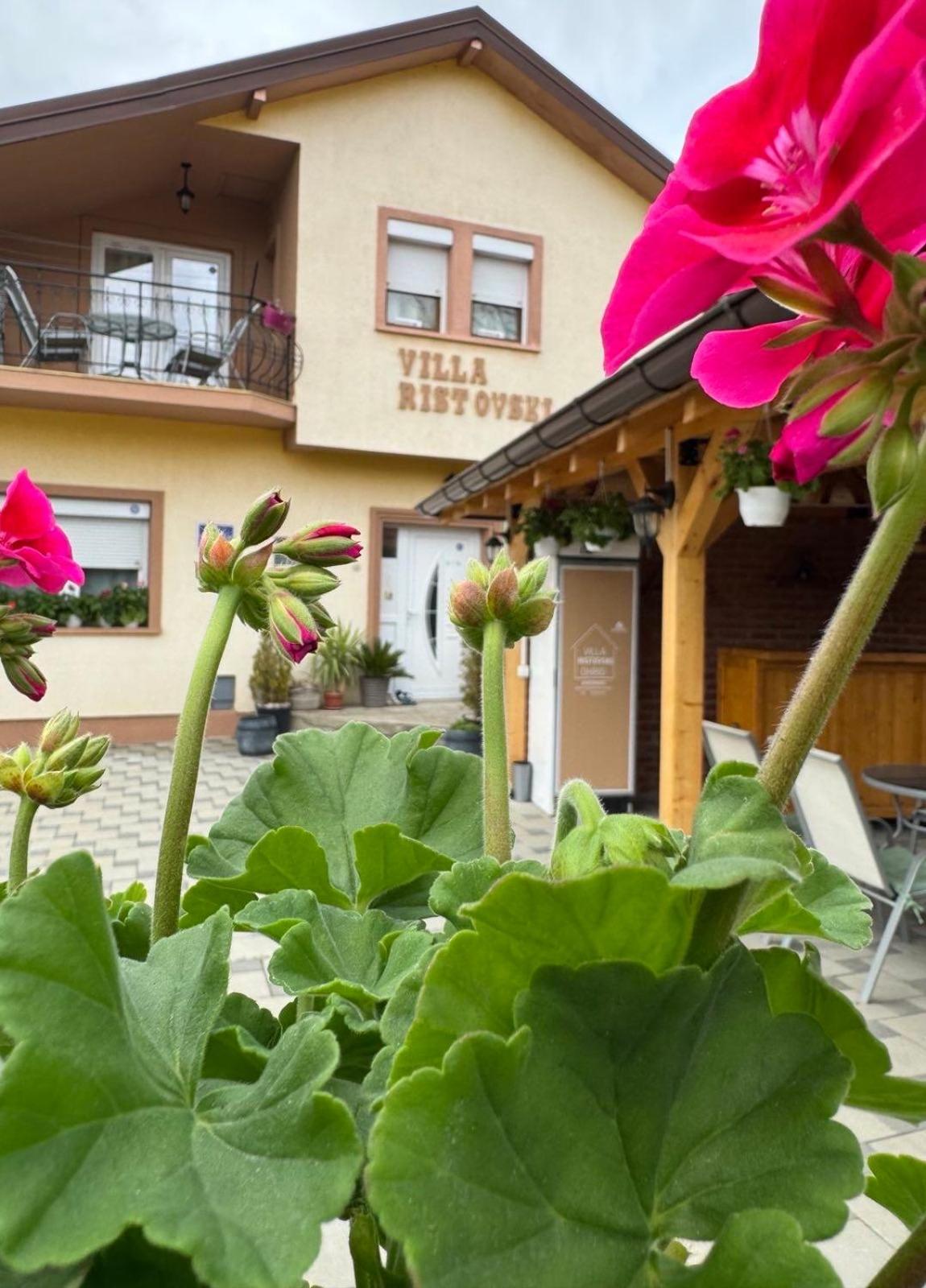 Villa Ristovski 奥赫里德 外观 照片